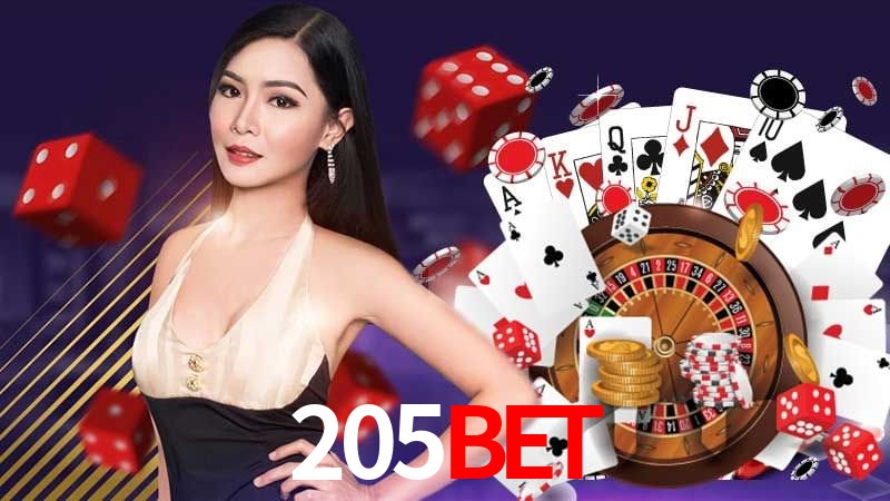 Programa VIP 205bet