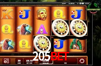 Apostas Esportivas na 205bet: Um Guia Completo
