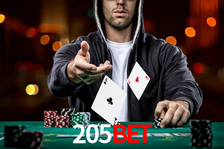 205bet App Interface