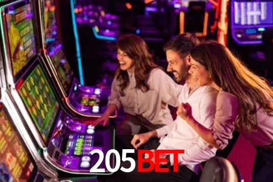 Interface Premium 205bet