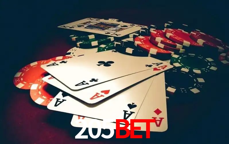 205bet login